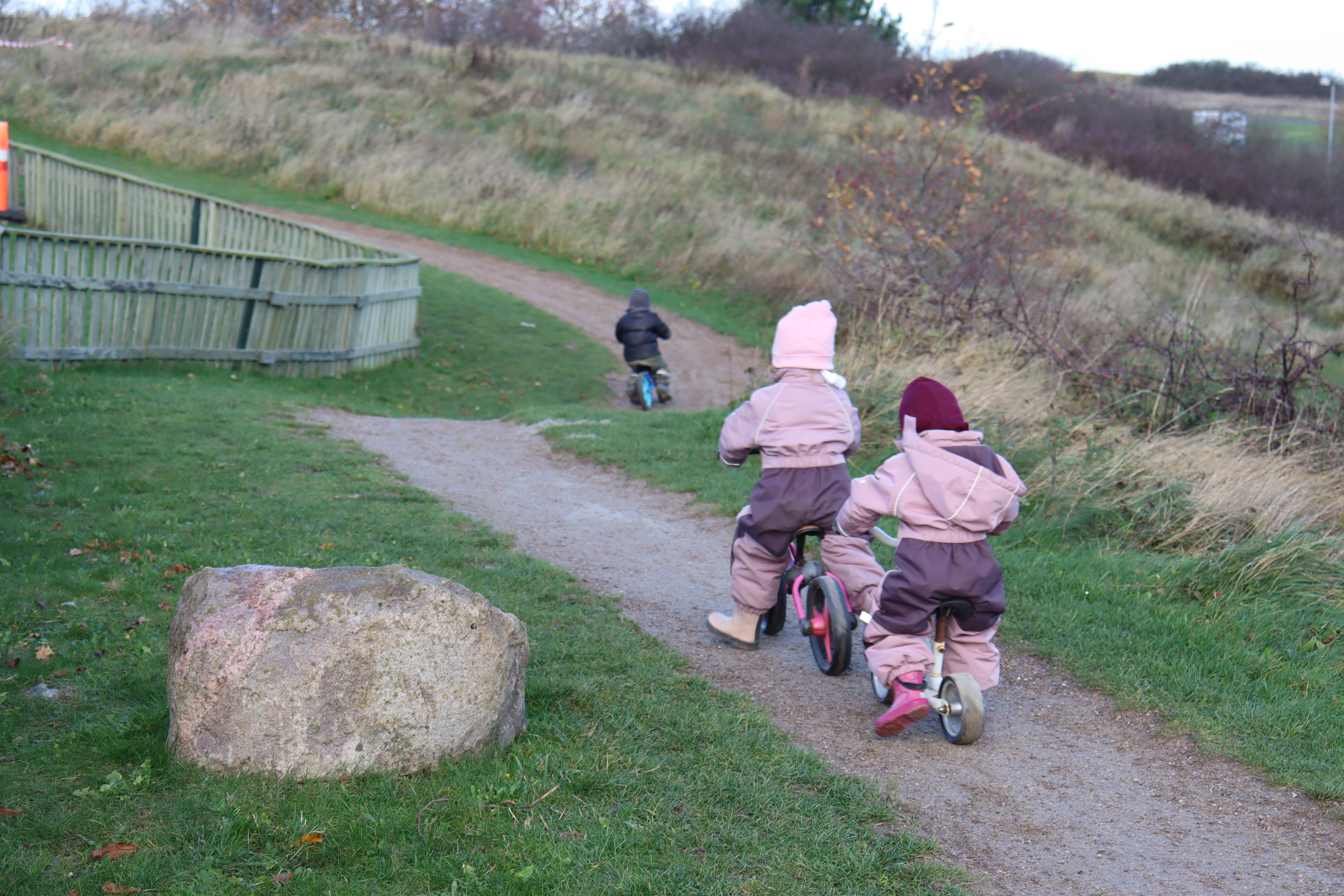 Tre børn cykler på løbecykler ned af mindre bakke